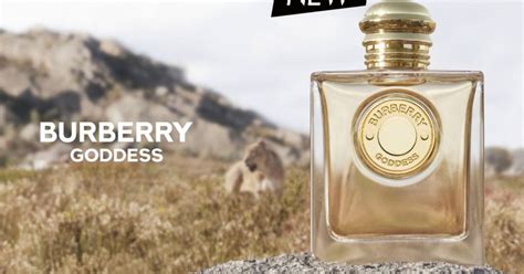 mr burberry sample|Burberry goddess sample.